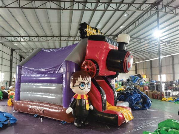Combo Harry Potter