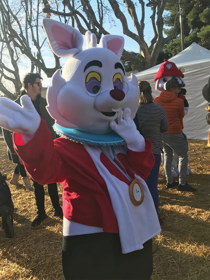 Mascotte gal17