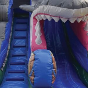 Toboggan aquatique REQUIN