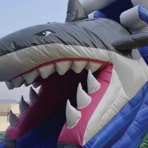 Toboggan aquatique Requin – Image 3