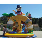 Combo Pirate Barbe Noire