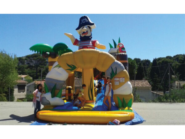 Combo Pirate Barbe Noire